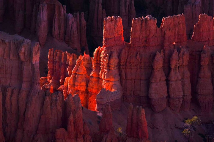 Bryce 3