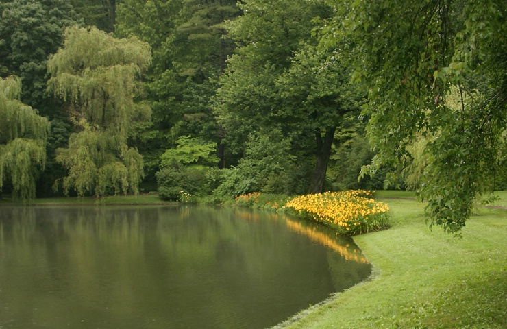 Garden Reflecting