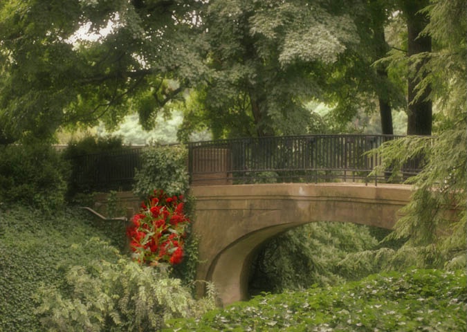 Bridge and Flowers