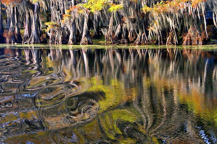 Swirls