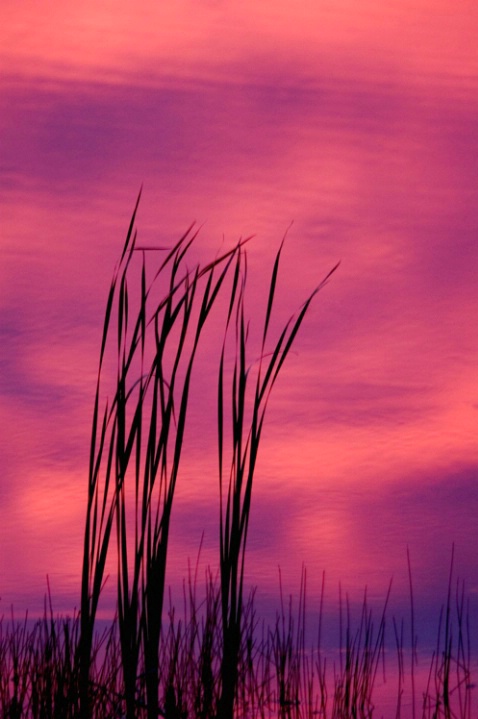 Sunset reflected