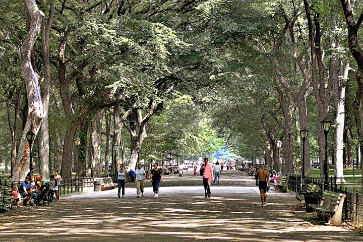 A Walk in the Park