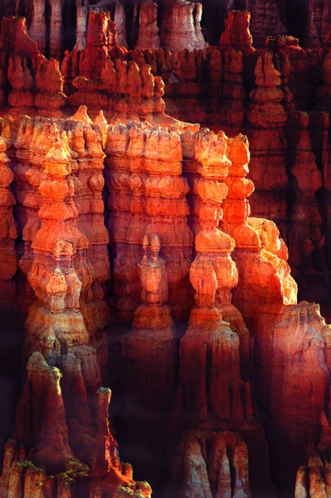 Painted rocks