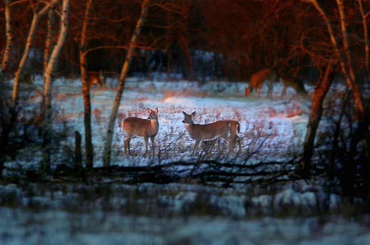 Late winter's day