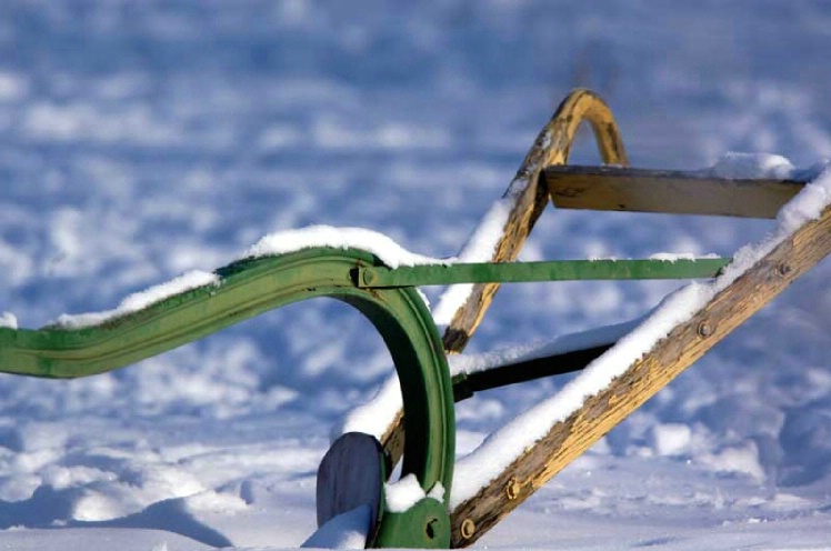 Waiting for spring