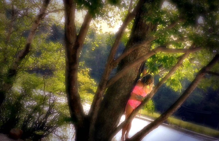  Out on a Limb