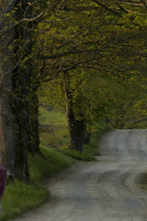 Country road