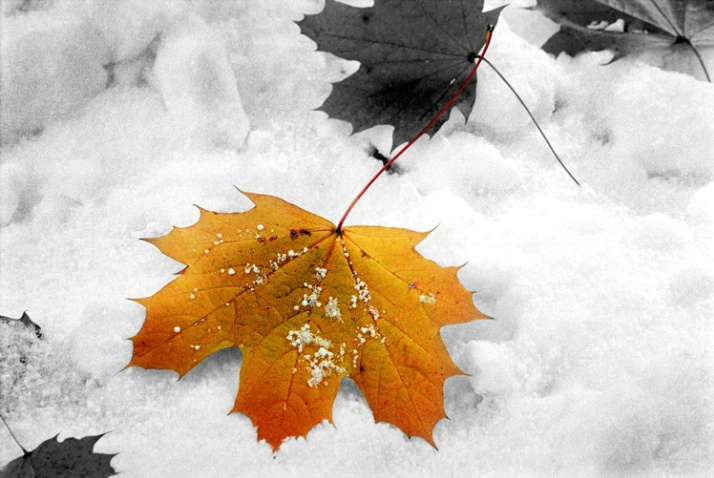 First snow