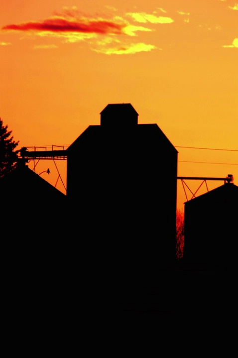 Grain elevator