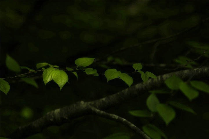 Light painting
