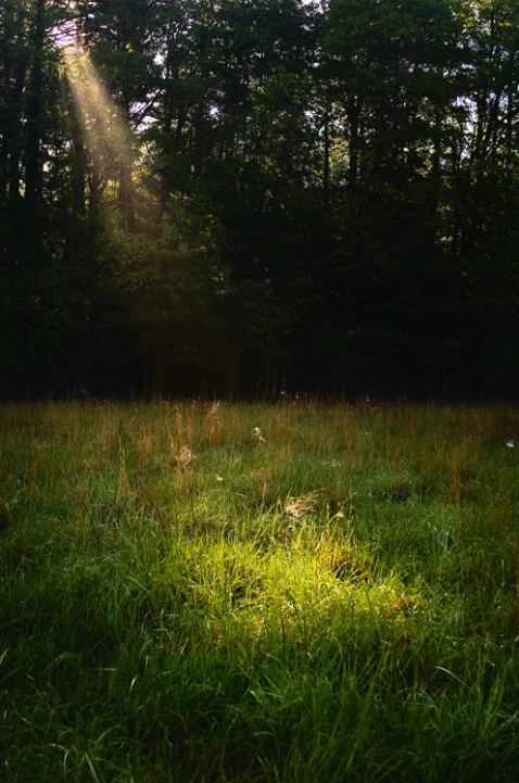 God's light