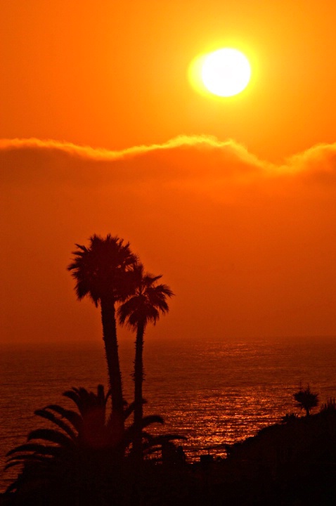 Laguna Sunset