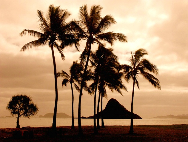 Chinaman's Hat Island, Oahu