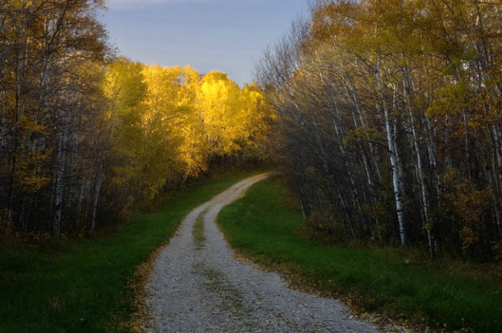 Country road