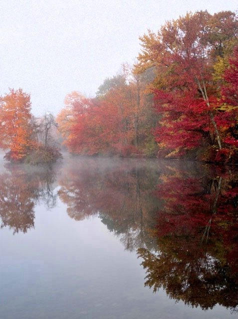 Lake and Fog