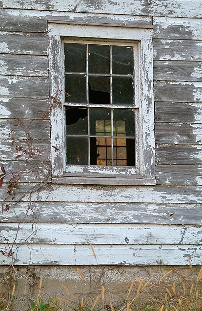 Window