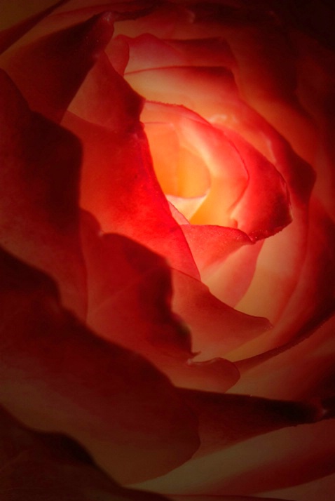 The light within
