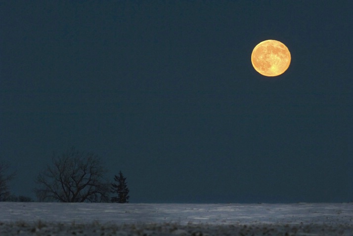 Moon Rise