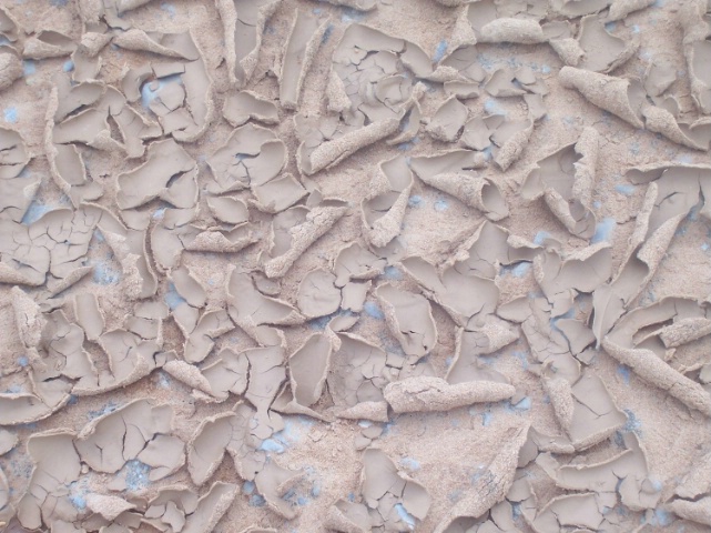 Dried Mud