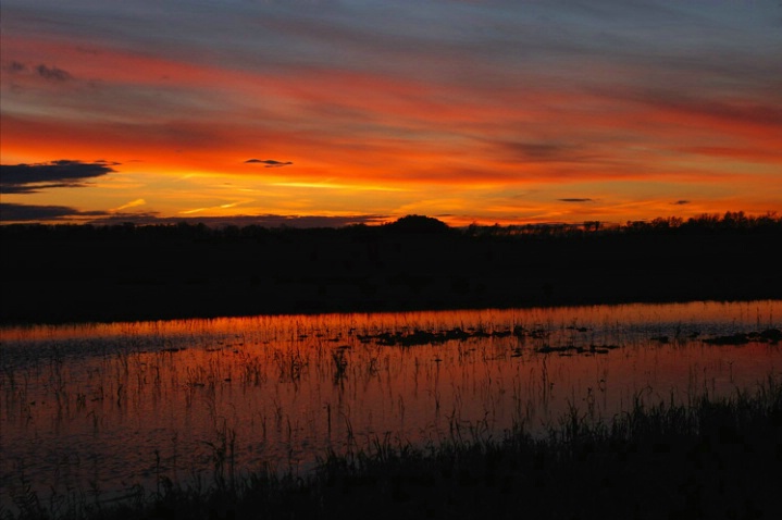 Country sunset