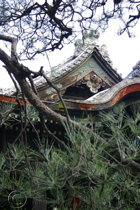 Temple with Pines