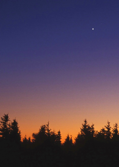 Dolly Sods Dawn