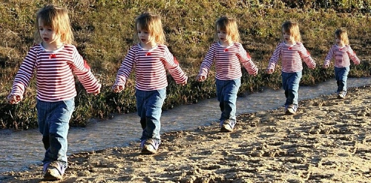 Multiplicity