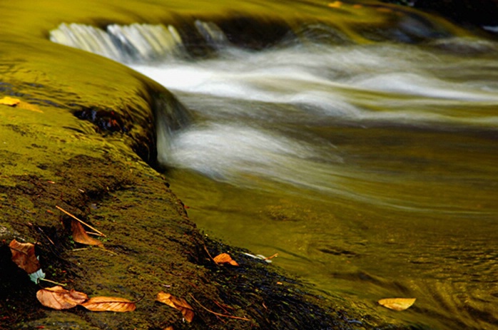 Green Waters