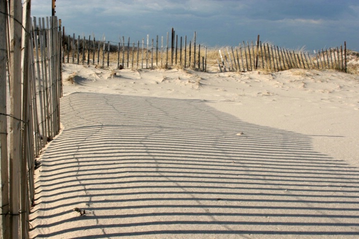 Shadows in the Sand