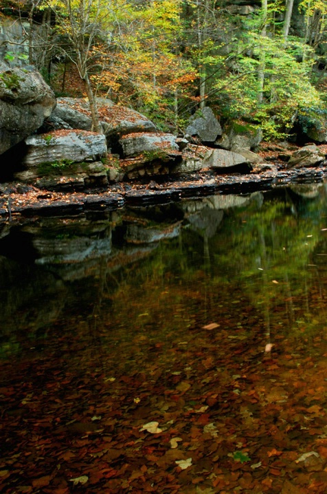 Otter Creek Fall