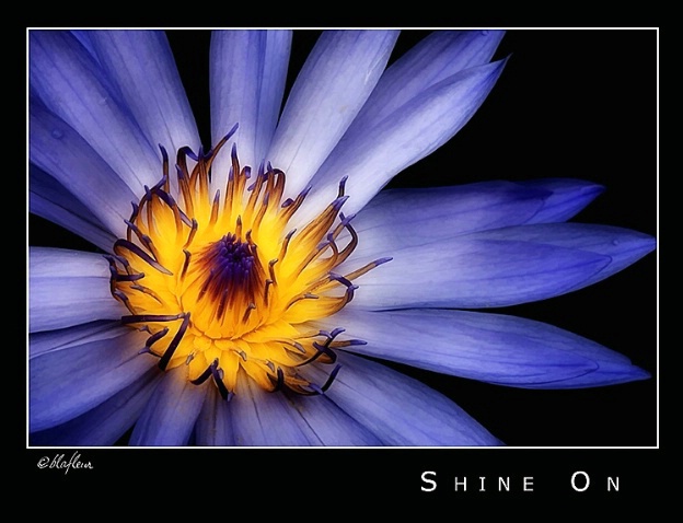 Shine On