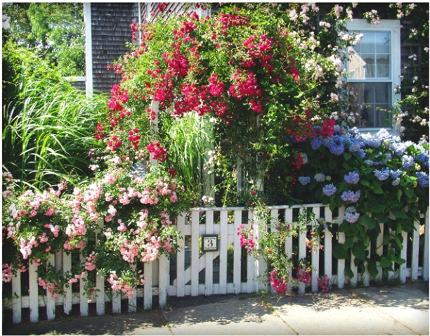 Nantucket Arbor #135