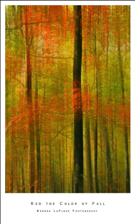 Red Is The Color of Fall
