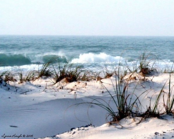 Pensacola Beach March 2006