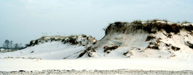 Dunes on Pensacola Beach