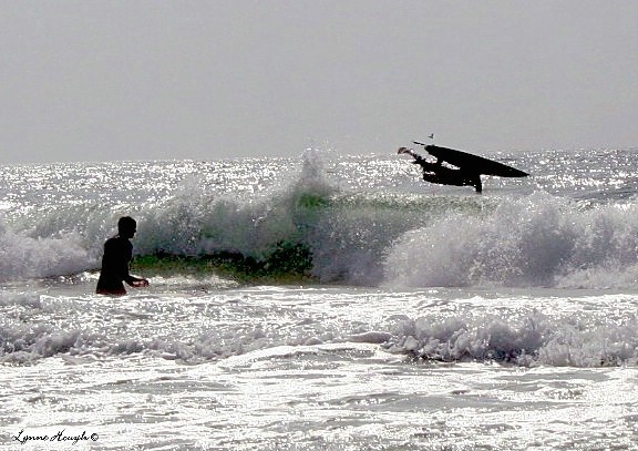 Surfer Silhoutte