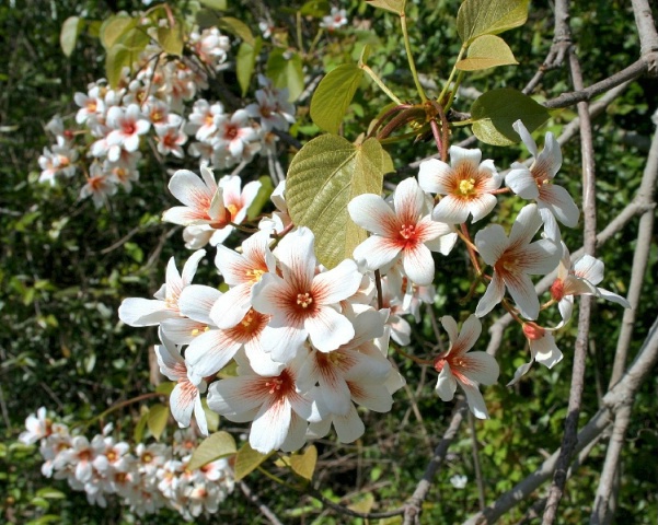 Along the roadside