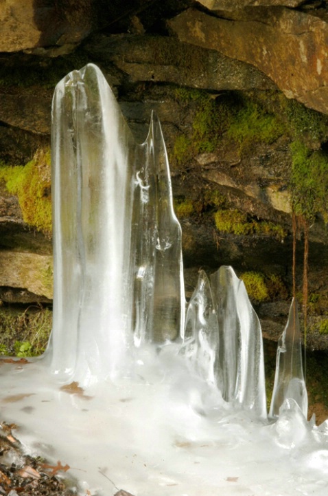 Ice Sculpture