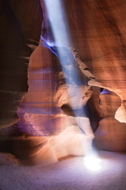 Spotlight
