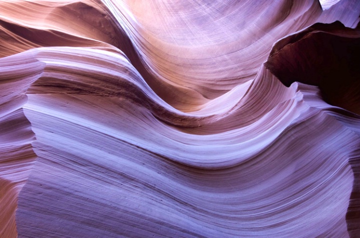 The Wave