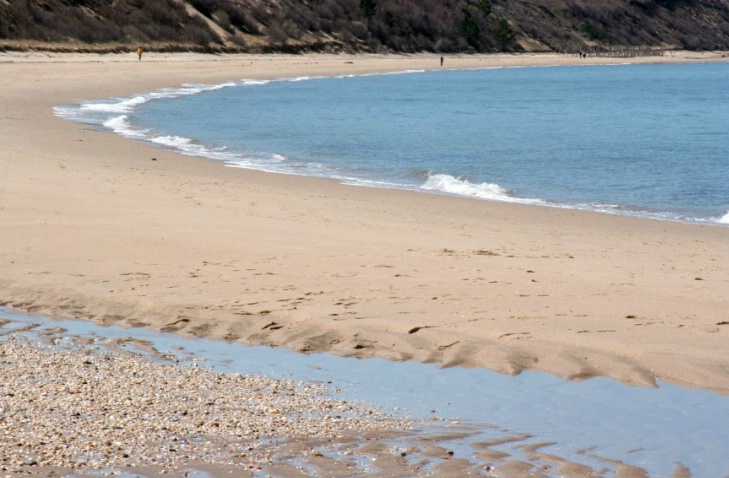 Some Sand and Sea