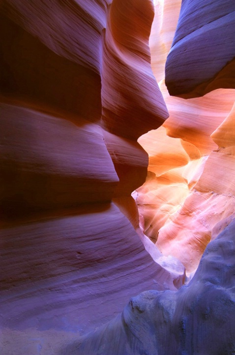 Into the Light