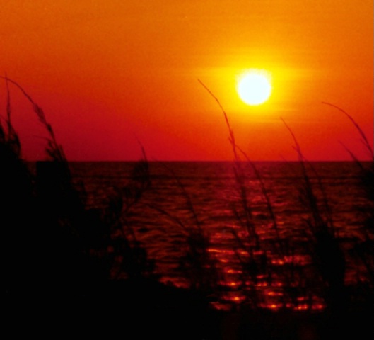 SANIBEL SUNSET(2)