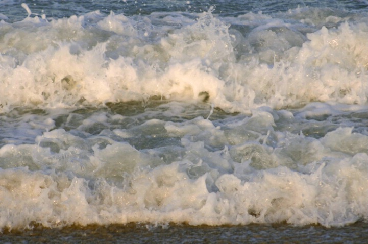 Ocean Meets Shore