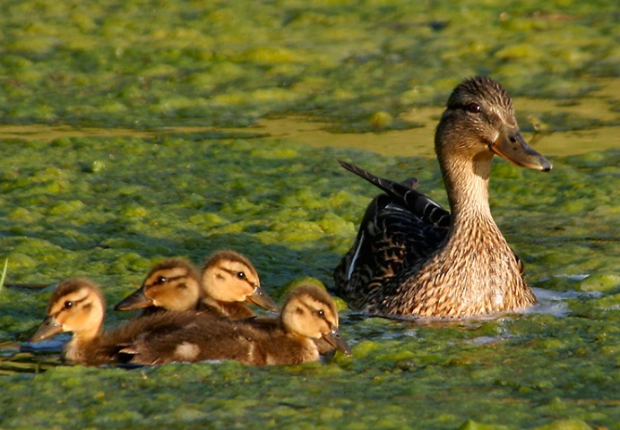 Spending the day with Mom