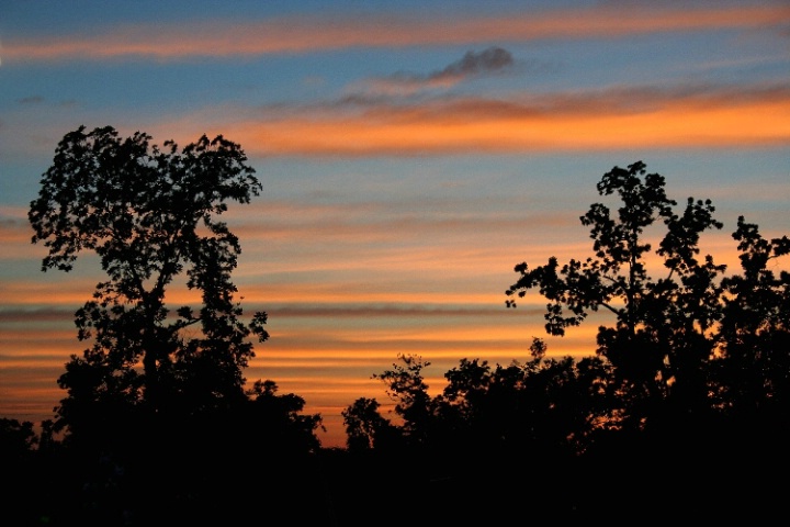 Striped Sunset