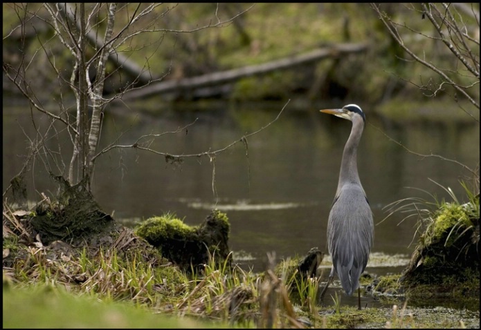 on the lookout