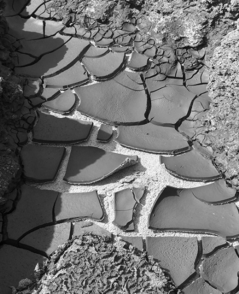 Mud Cracks