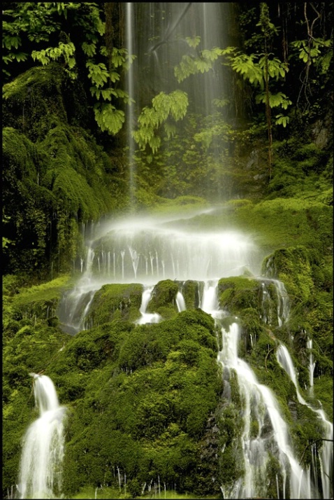 Quinault falls 1