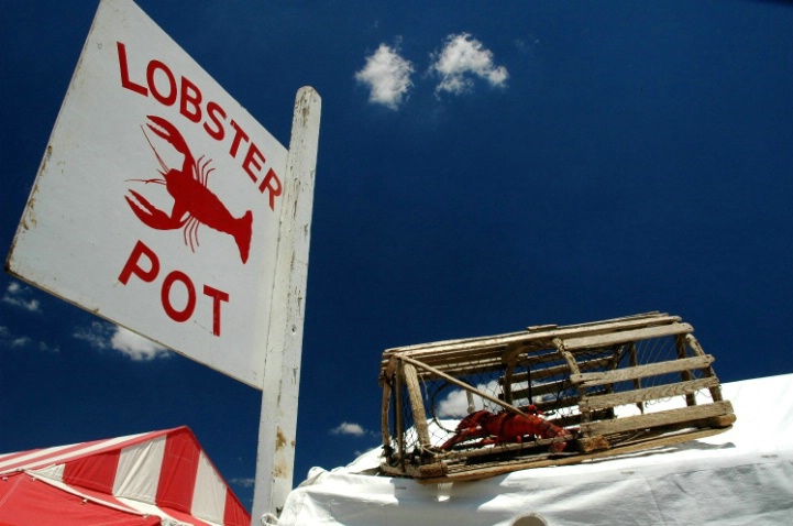 Lobster Pot